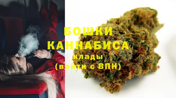 гидра Алексин