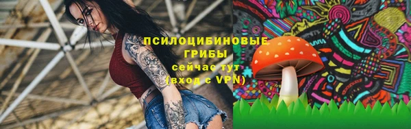 каннабис Аркадак